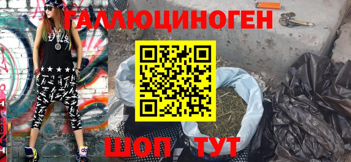 Сокол  Псилоцибиновые грибы мухоморы  Псилоцибиновые грибы GOLDEN TEACHER  Вход с VPN 