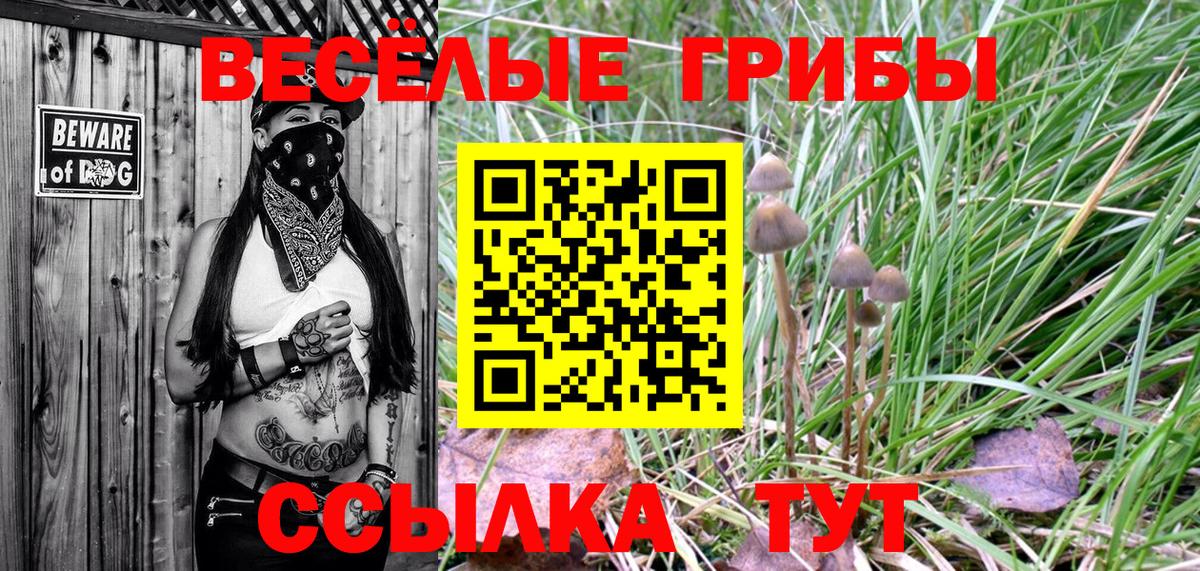 Псилоцибиновые грибы прущие грибы Сокол